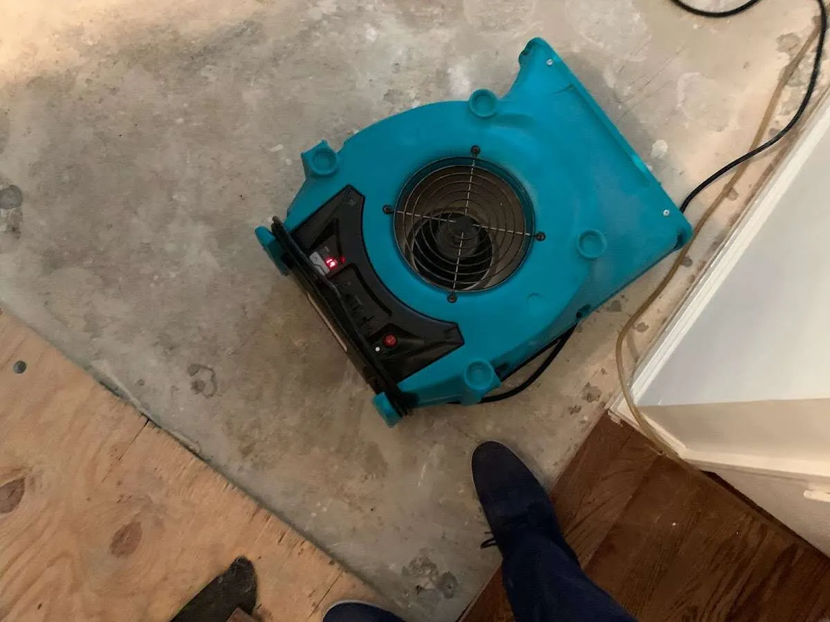Air mover drying subfloor during Commercial Water Damage Restoration in Dunedin