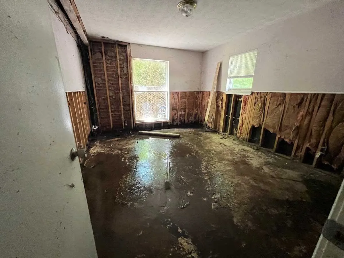 Water Damage Restoration services in Dunedin, FL
